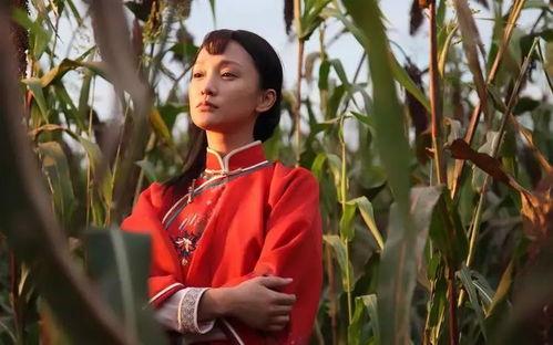 在线观看 高粱红了,红色记忆与革命情怀的深情演绎