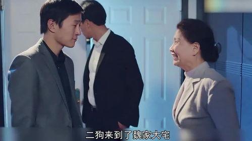 陈二狗在线观看,网络奇遇记  第1张