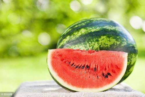 甘肃籍网红吃瓜,揭秘瓜界风云，品味家乡味道  第2张